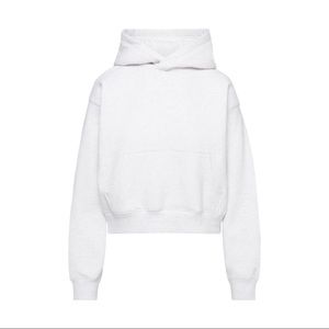 Aritzia hoodie NWOT